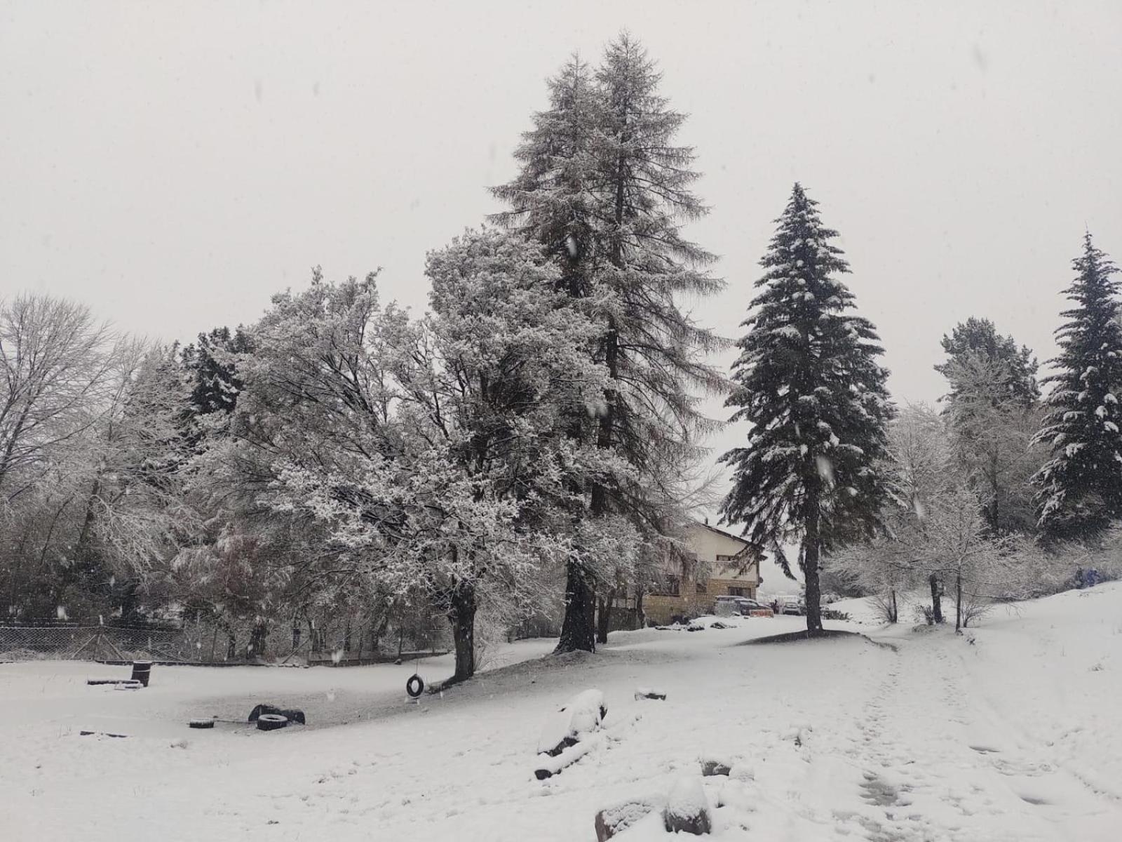 Posada Del Nireco San Carlos de Bariloche Eksteriør billede