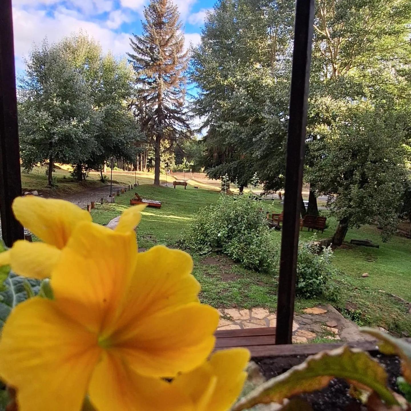 Posada Del Nireco San Carlos de Bariloche Eksteriør billede