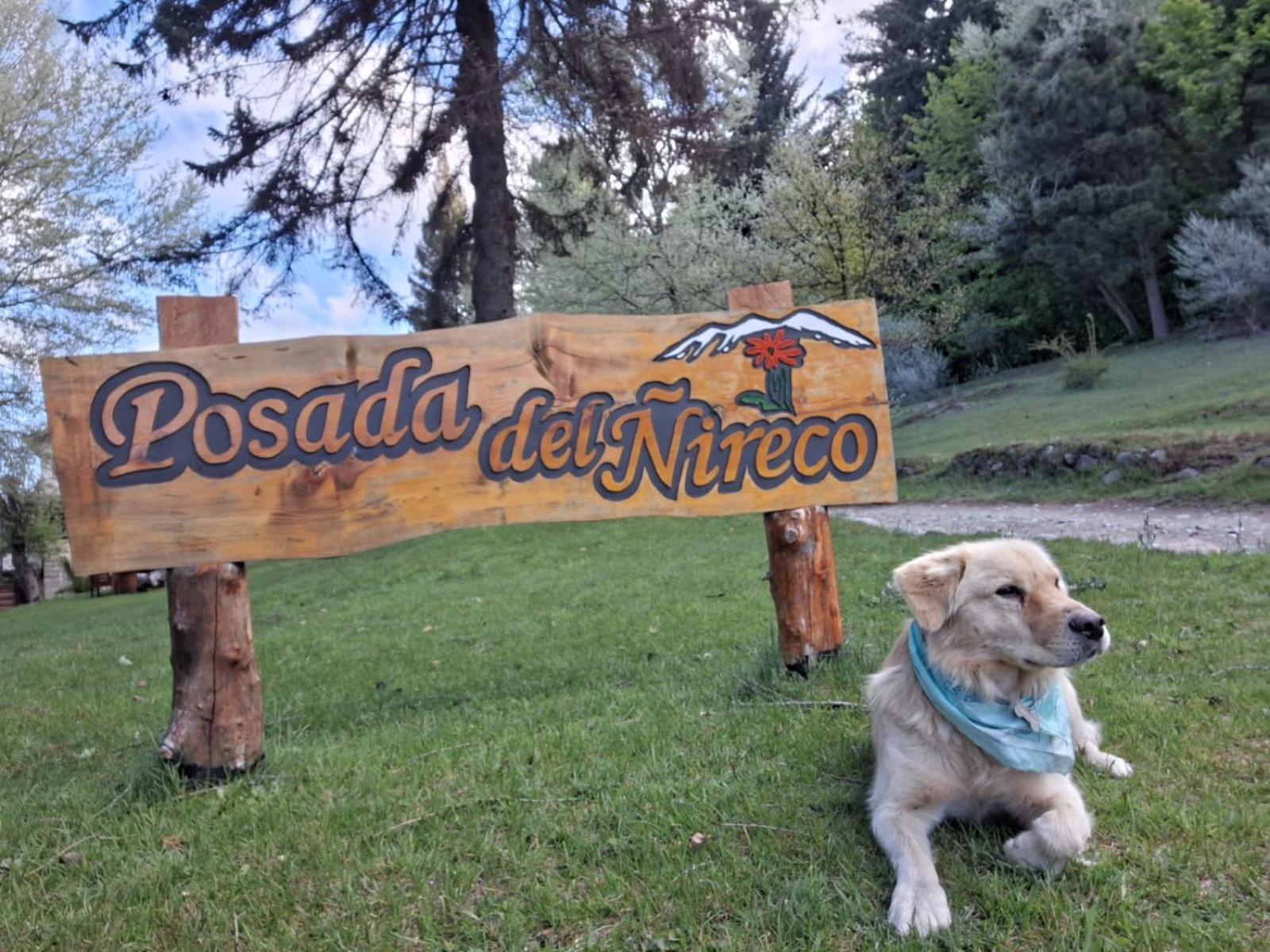 Posada Del Nireco San Carlos de Bariloche Eksteriør billede